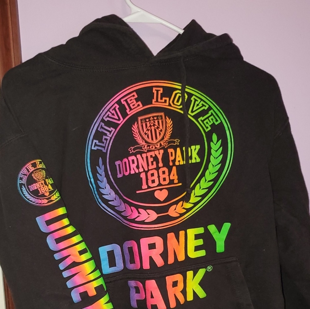 Dorney Park hoodie
